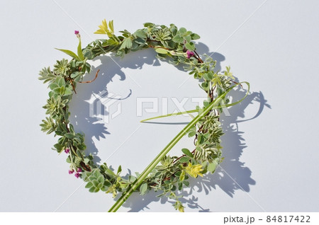 シルバーリーフと野ゲイトウのリース シルバーリーフと野ゲイトウのリース 84817422