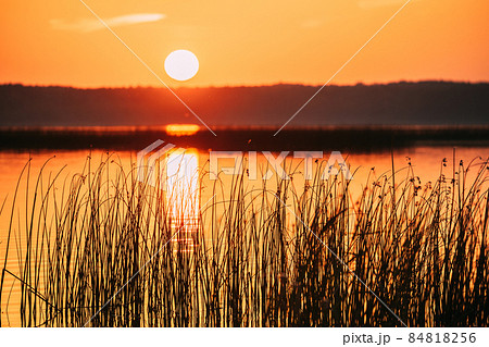Sundown Above Lake River Horizon At Sunset. Natural Sky In Warm Colors Water. Sun Waters 84818256