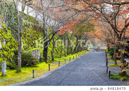 晩秋の京都　大原三千院　参道 84818470