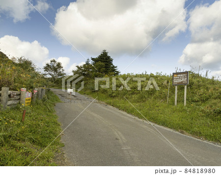 北海道 礼文島 礼文林道元地口 / Rebun Island, Hokkaido, Japan 84818980