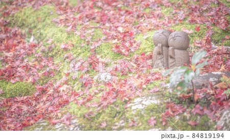 京都府 詩仙堂 紅葉 地蔵 京都府 詩仙堂 紅葉 地蔵 84819194
