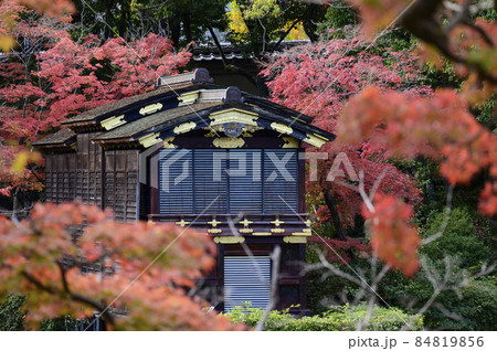 紅葉に囲まれた相楽園の船屋形 紅葉に囲まれた相楽園の船屋形 84819856
