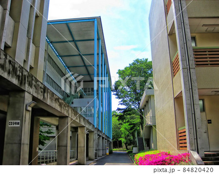 【東京】東京農工大のキャンパス 84820420