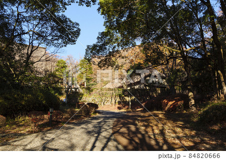 神奈川県川崎市の紅葉の名所生田緑地の秋 神奈川県川崎市の紅葉の名所生田緑地の秋 84820666
