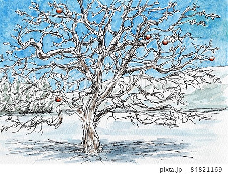 雪景色 雪景色 84821169