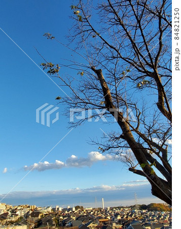 秋の樹木の向こうに広がる青空と家並み 秋の樹木の向こうに広がる青空と家並み 84821250