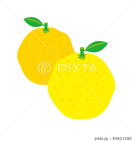 ゆずのイラスト 84821580