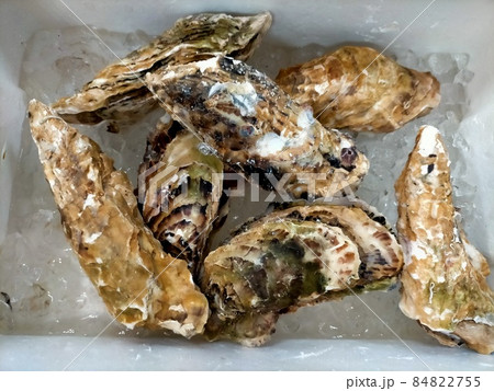 生牡蠣 生牡蠣 84822755