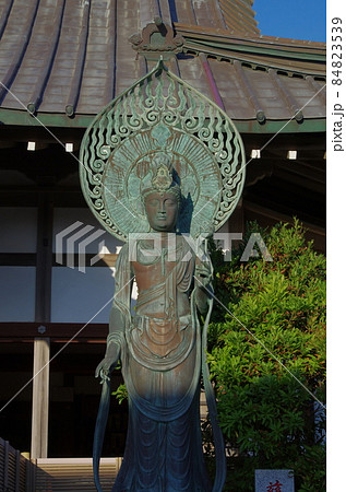 満福寺の慈悲観音 鎌倉市腰越 満福寺の慈悲観音 鎌倉市腰越 84823539