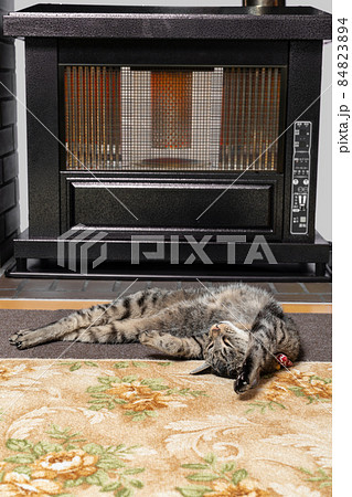 ストーブの前でくつろぐ猫 84823894