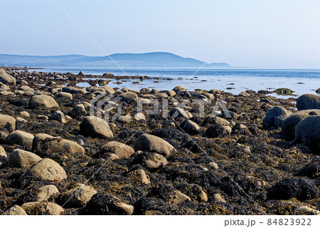 Pebble beach at Machrie Bay - Scotland 84823922