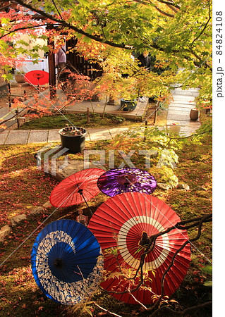 勝林寺 京都市 東山区 紅葉 紅葉狩り 和傘 秋 勝林寺 京都市 東山区 紅葉 紅葉狩り 和傘 秋 84824108