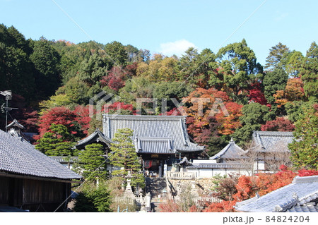 柳谷観音 長岡京市 長岡京駅 長岡天神駅 京都府 紅葉狩り 観光地 御朱印 柳谷観音 長岡京市 長岡京駅 長岡天神駅 京都府 紅葉狩り 観光地 御朱印 84824204