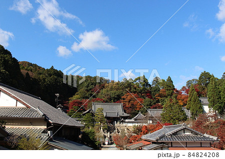 柳谷観音 長岡京市 長岡京駅 長岡天神駅 京都府 紅葉狩り 観光地 御朱印の写真素材 8448
