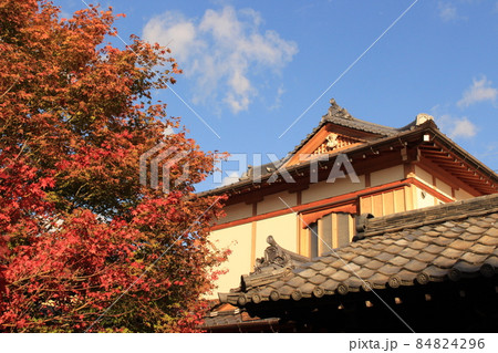 勝林寺　京都市　東山区　紅葉スポット　紅葉狩り　日向　夕暮れ　紅葉 84824296