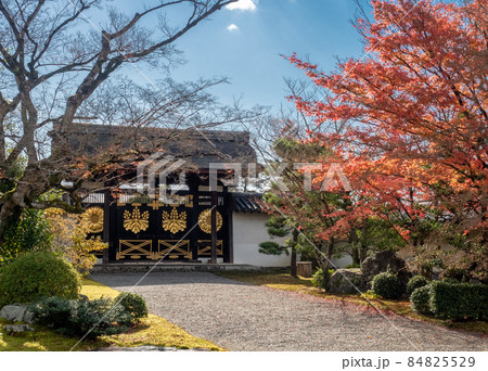 醍醐寺三宝院唐門と紅葉 84825529
