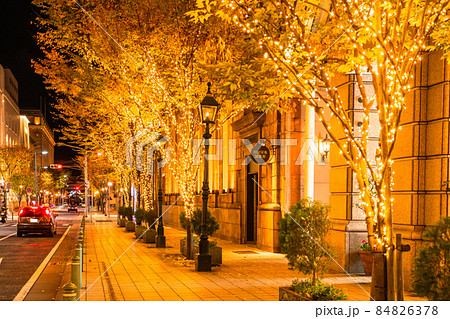 《兵庫県》神戸旧居留地・冬のイルミネーション 《兵庫県》神戸旧居留地・冬のイルミネーション 84826378