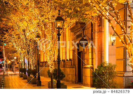 《兵庫県》神戸旧居留地・冬のイルミネーション 84826379