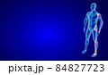Joint Pain illustration from side view. Blue Human Anatomy Body 3D Scan render on blue background 84827723