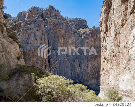 Sunny view of the landscape in Red Rock Canyon 84829224