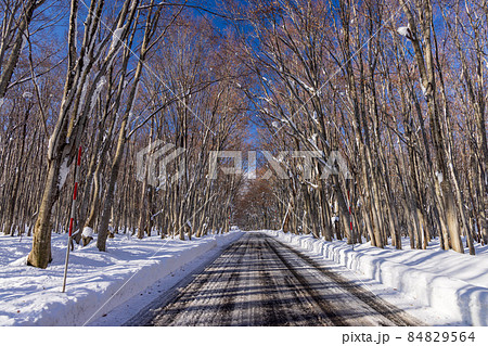 初冬の八甲田 84829564