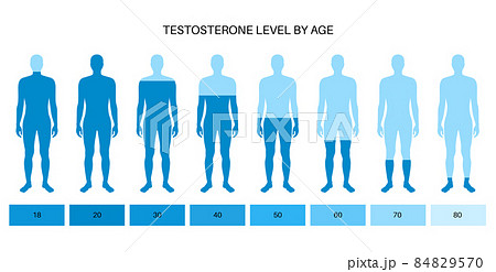 Testosterone level chart Testosterone level chart 84829570