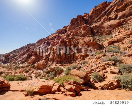 Sunny view of the landscape in Calico Basin Trail 84829919