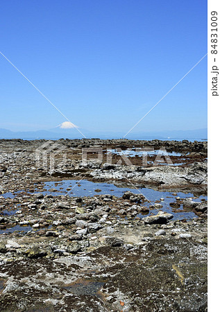 潮が引いた磯と富士山 潮が引いた磯 潮が引いた磯と富士山 潮が引いた磯 84831009