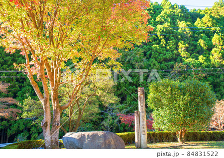 桐生川源流林 水源の森百選 紅葉の季節 秋の風景 桐生川源流林 水源の森百選 紅葉の季節 秋の風景 84831522