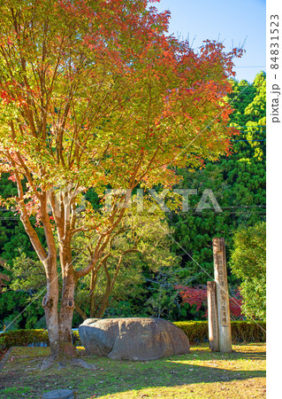 桐生川源流林　水源の森百選　紅葉の季節　秋の風景 84831523