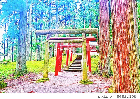 気多若宮神社 気多若宮神社 84832109