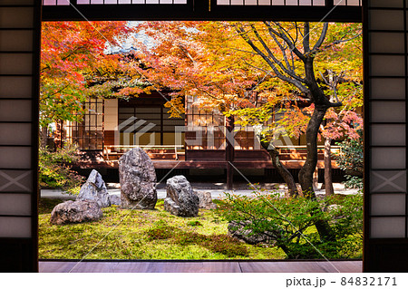 秋・紅葉・庭園イメージ 建仁寺 秋・紅葉・庭園イメージ 建仁寺 84832171
