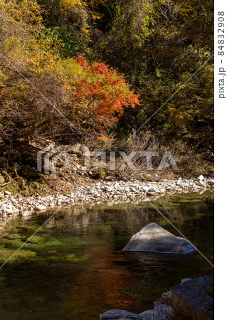 秋の赤沢自然休養林と周辺の風景 84832908