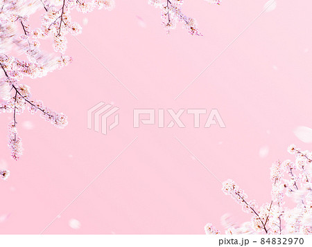 シンプルな桜の背景 シンプルな桜の背景 84832970