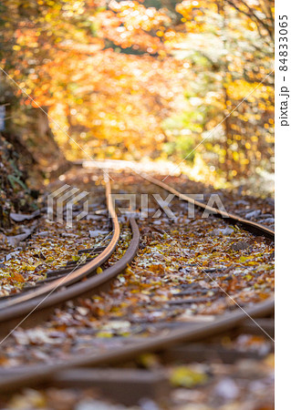 秋の赤沢自然休養林と周辺の風景 84833065