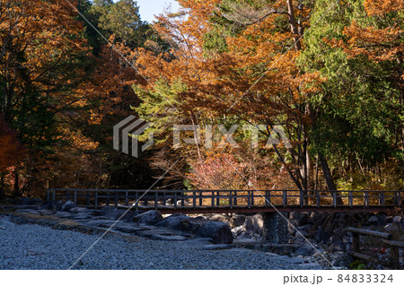 秋の赤沢自然休養林と周辺の風景 秋の赤沢自然休養林と周辺の風景 84833324
