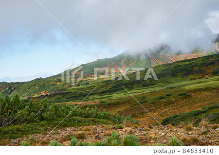 北海道 旭岳の紅葉 裾合平 北海道 旭岳の紅葉 裾合平 84833410