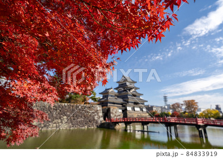 秋の松本城と周辺の風景 秋の松本城と周辺の風景 84833919