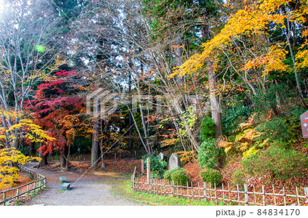 岩手県　平泉　世界文化遺産　中尊寺　月見坂　紅葉と石碑 84834170