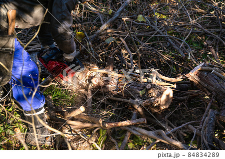 チェーンソーによる倒木処理作業 チェーンソーによる倒木処理作業 84834289