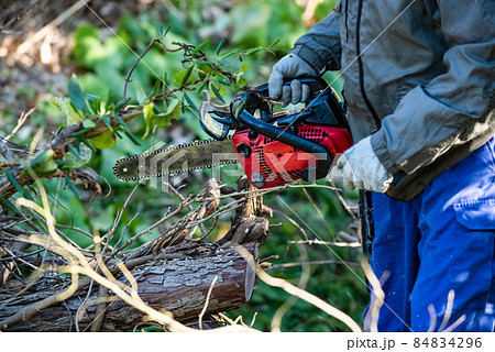 チェーンソーによる倒木処理作業 84834296