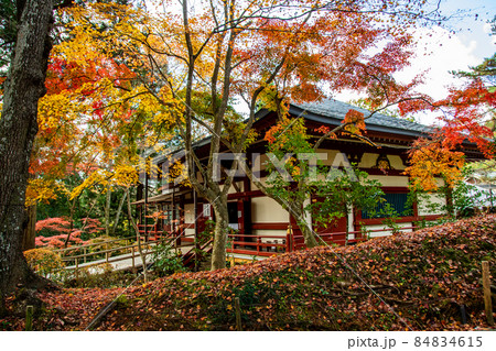 岩手県　平泉　世界文化遺産　中尊寺　不動堂 84834615