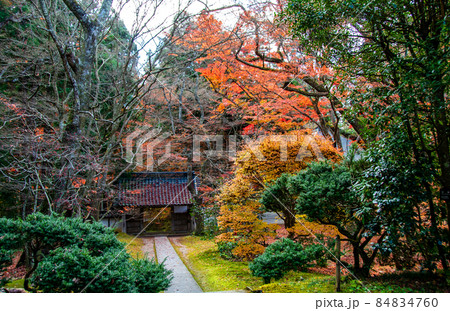 岩手県 平泉 世界文化遺産 中尊寺 大長寿院山門 岩手県 平泉 世界文化遺産 中尊寺 大長寿院山門 84834760