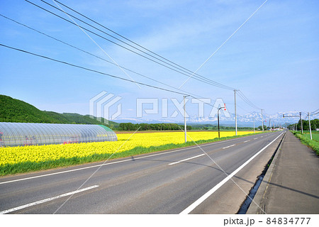 美瑛の春 道道十勝岳温泉美瑛線 残雪の十勝連峰 菜の花畑と十勝連峰 北国の春 北国イメージ  美瑛の春 道道十勝岳温泉美瑛線 残雪の十勝連峰 菜の花畑と十勝連峰 北国の春 北国イメージ  84834777