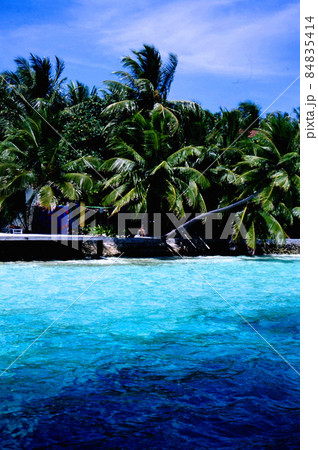 MaldivesRanveliの風景 MaldivesRanveliの風景 84835414