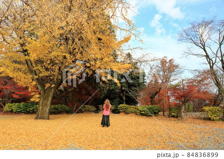 秋の金生山明星輪寺散策・79（岐阜県大垣市赤坂） 84836899