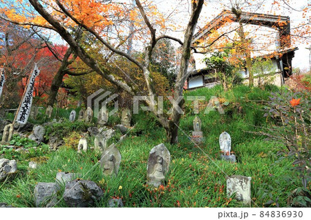 秋の金生山明星輪寺散策・110（岐阜県大垣市赤坂） 84836930