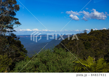 オーストラリア　ニューサウスウェールズ州のブルー・マウンテンズ国立公園の風景 84837431