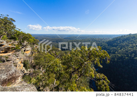 オーストラリア　ニューサウスウェールズ州のブルー・マウンテンズ国立公園の風景	 84837441