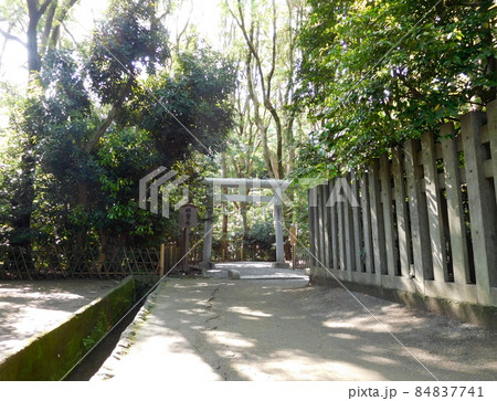 鎌倉　鶴岡八幡宮の祖霊社への小道 84837741